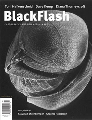 correctcoverweb correctcoverweb