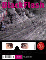 BackIssue bf 20 2 Back Issues
